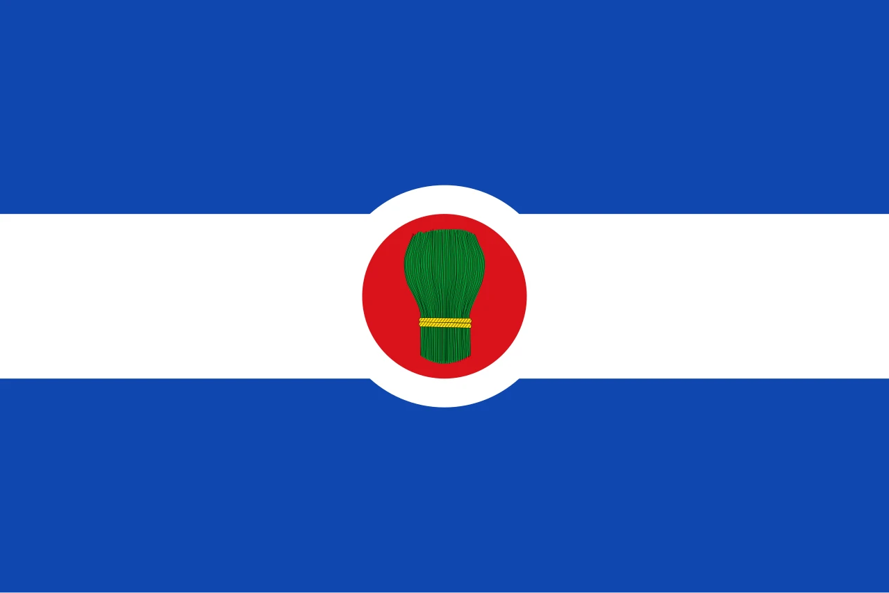 Bandera de Bagüés