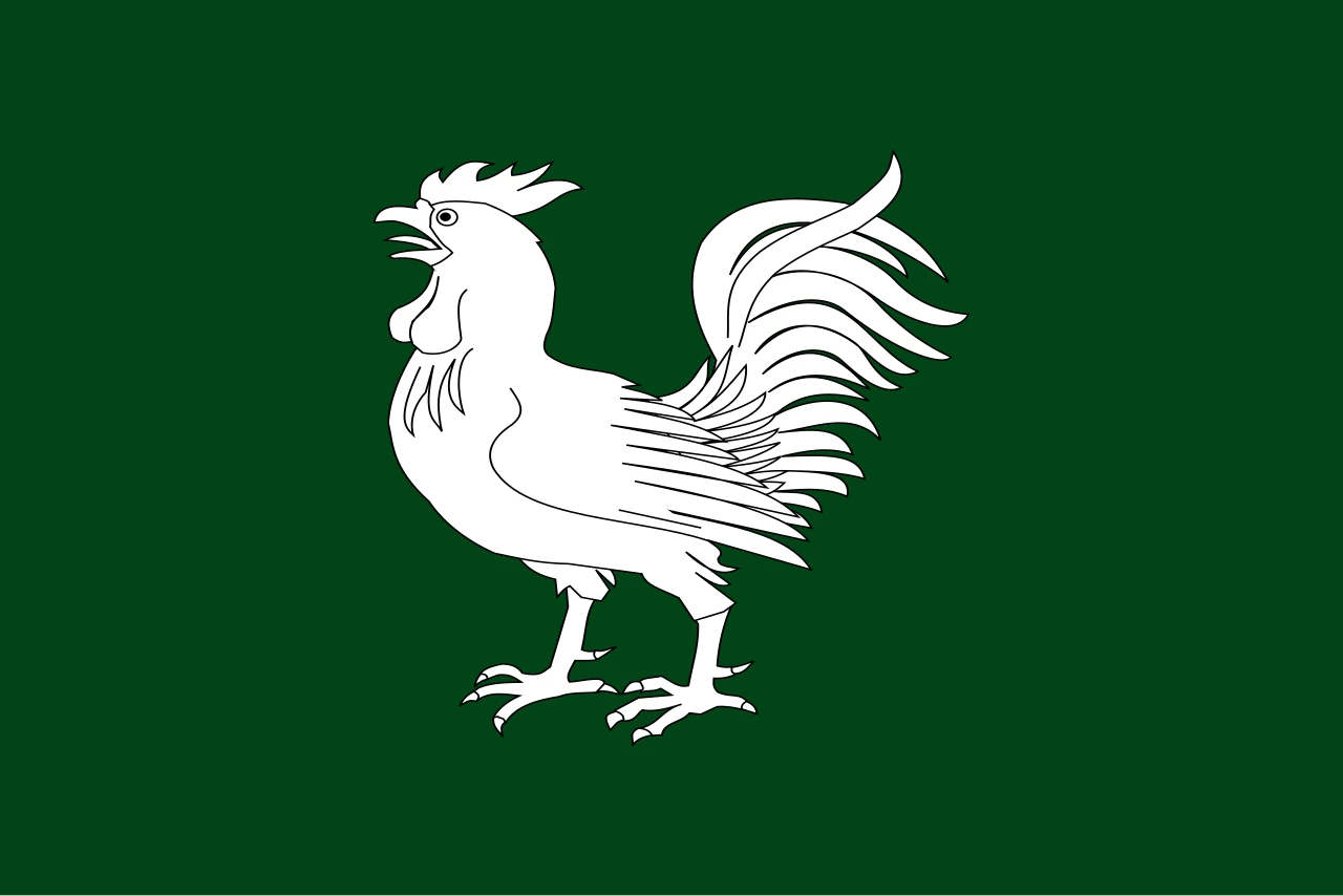 Opció 2