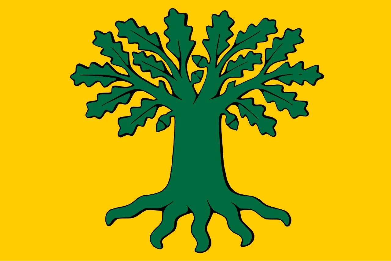 Opción 1
