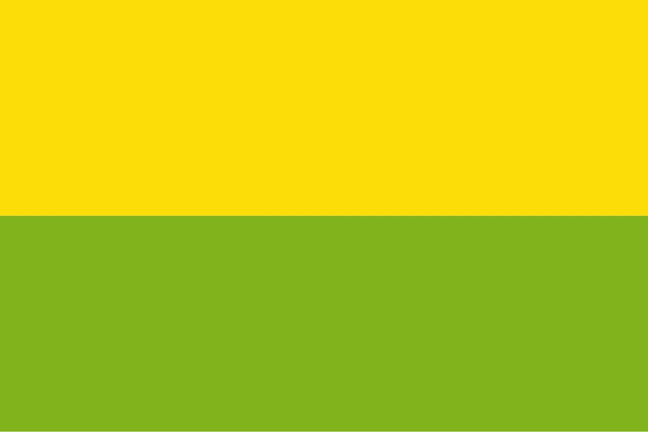 Bandera de Chía