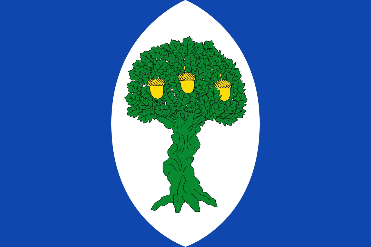 Opción 4