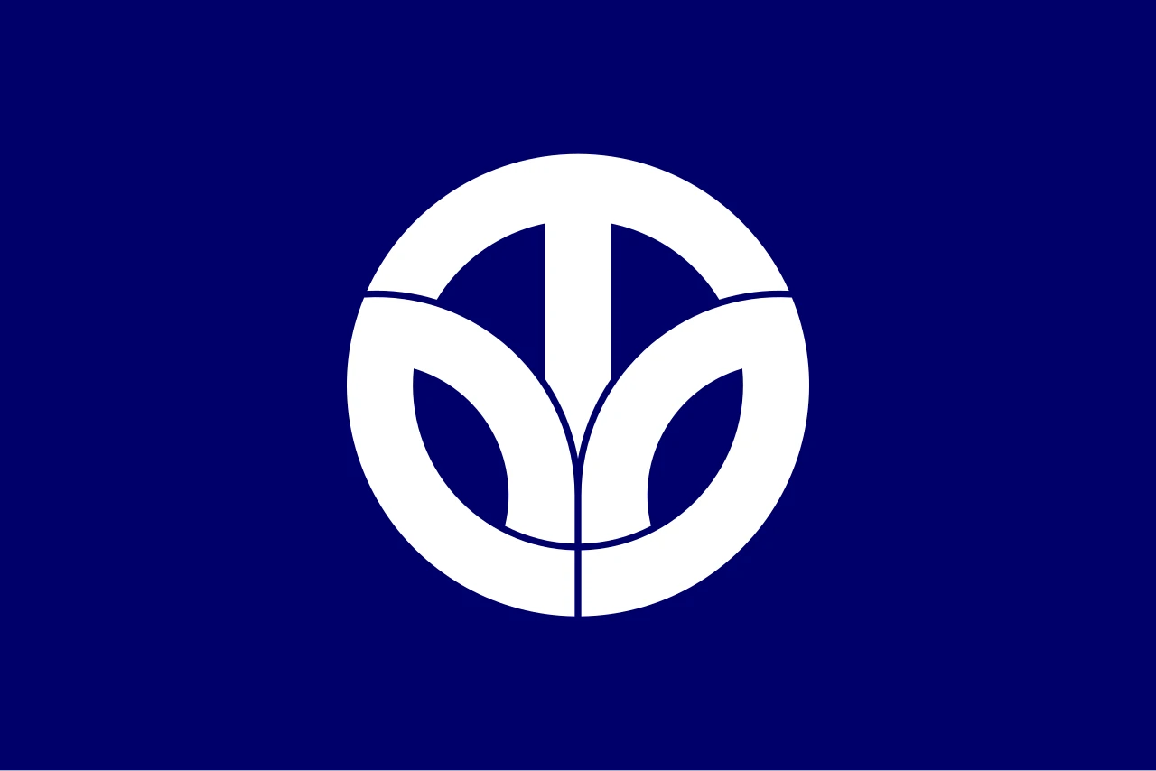 Opción 1