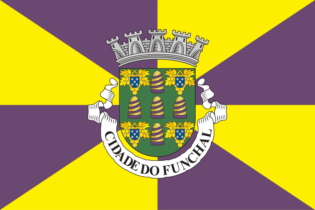 Opció 3