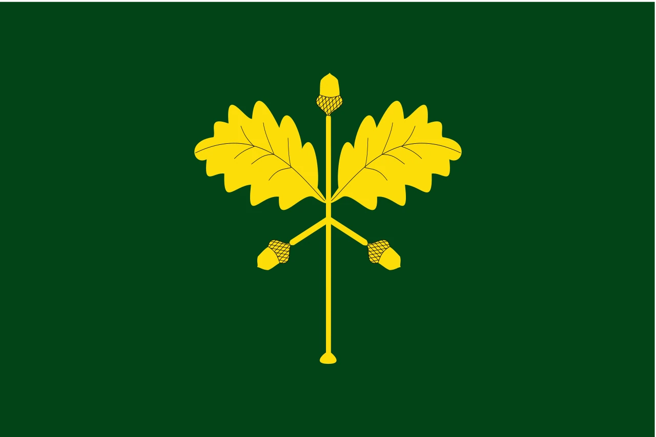 Opció 3