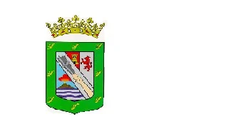 Opción 4