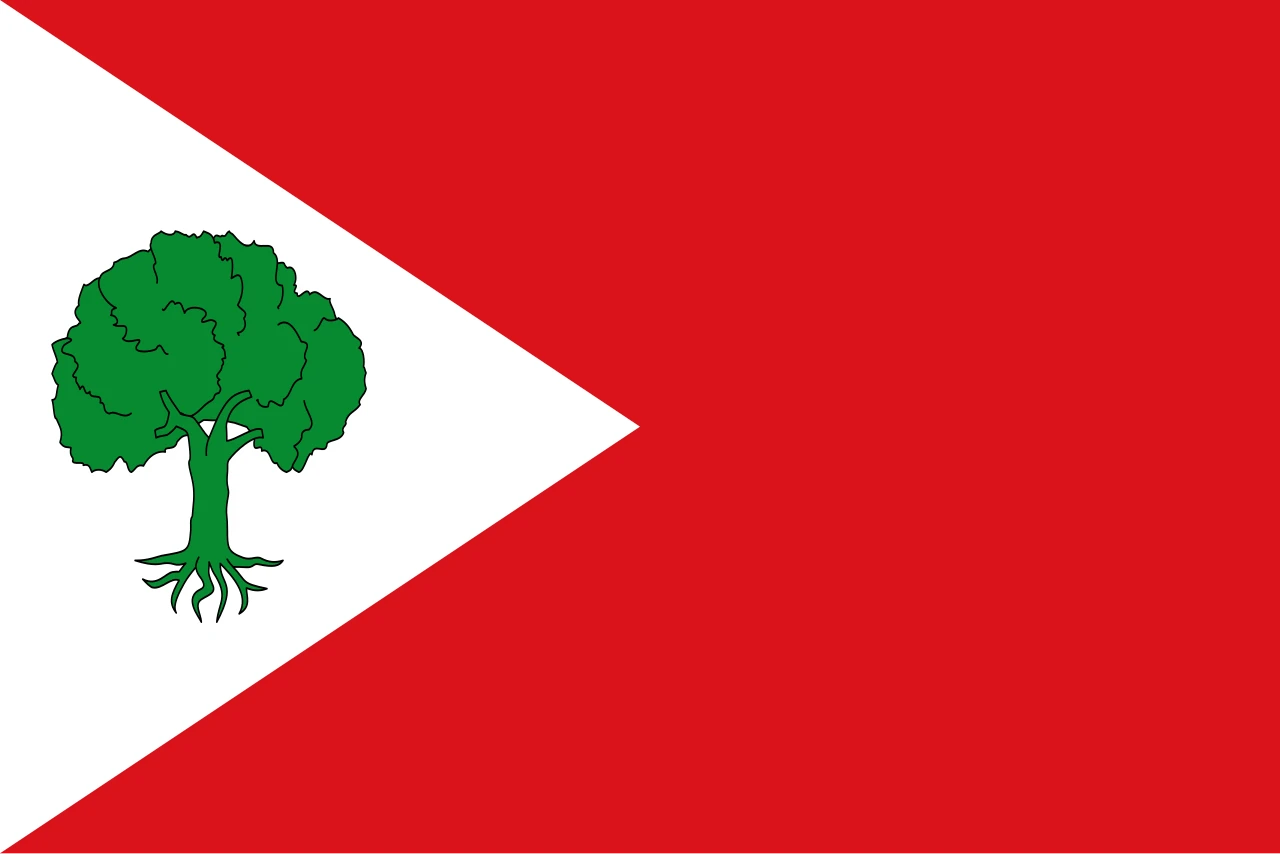 Opción 2