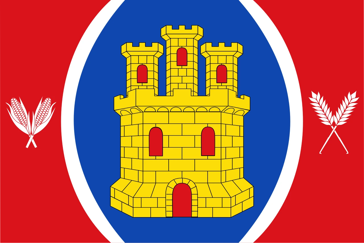 Opción 1