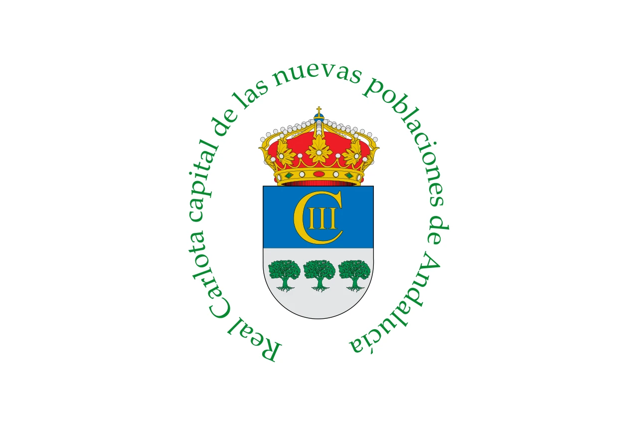 Opción 4