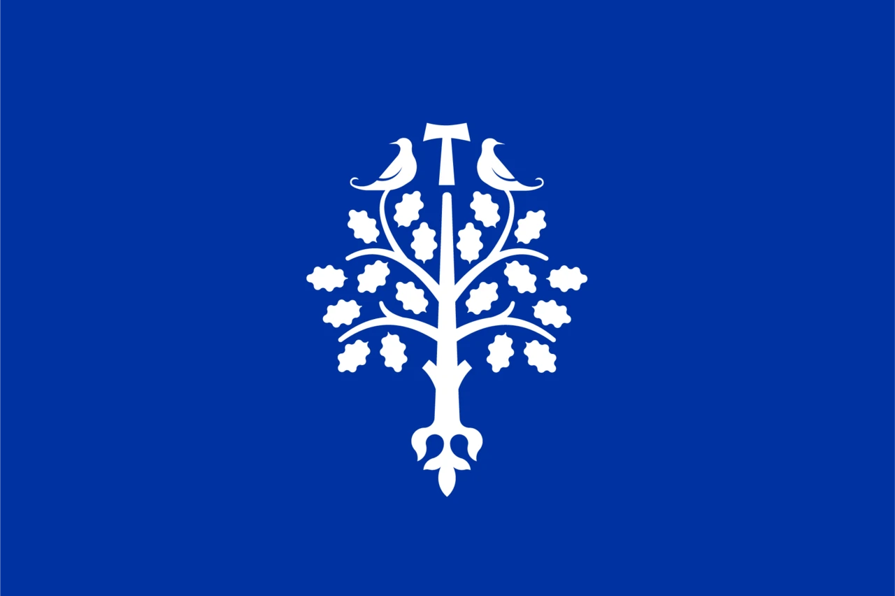 Opción 2