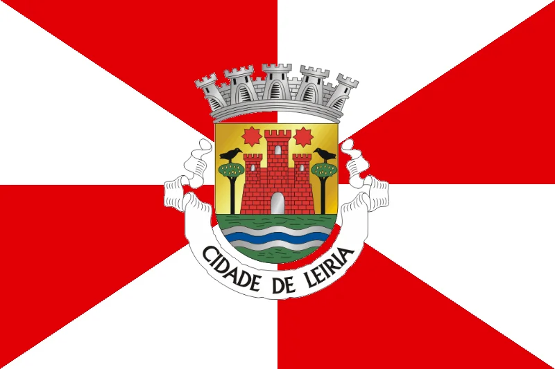 Opción 4