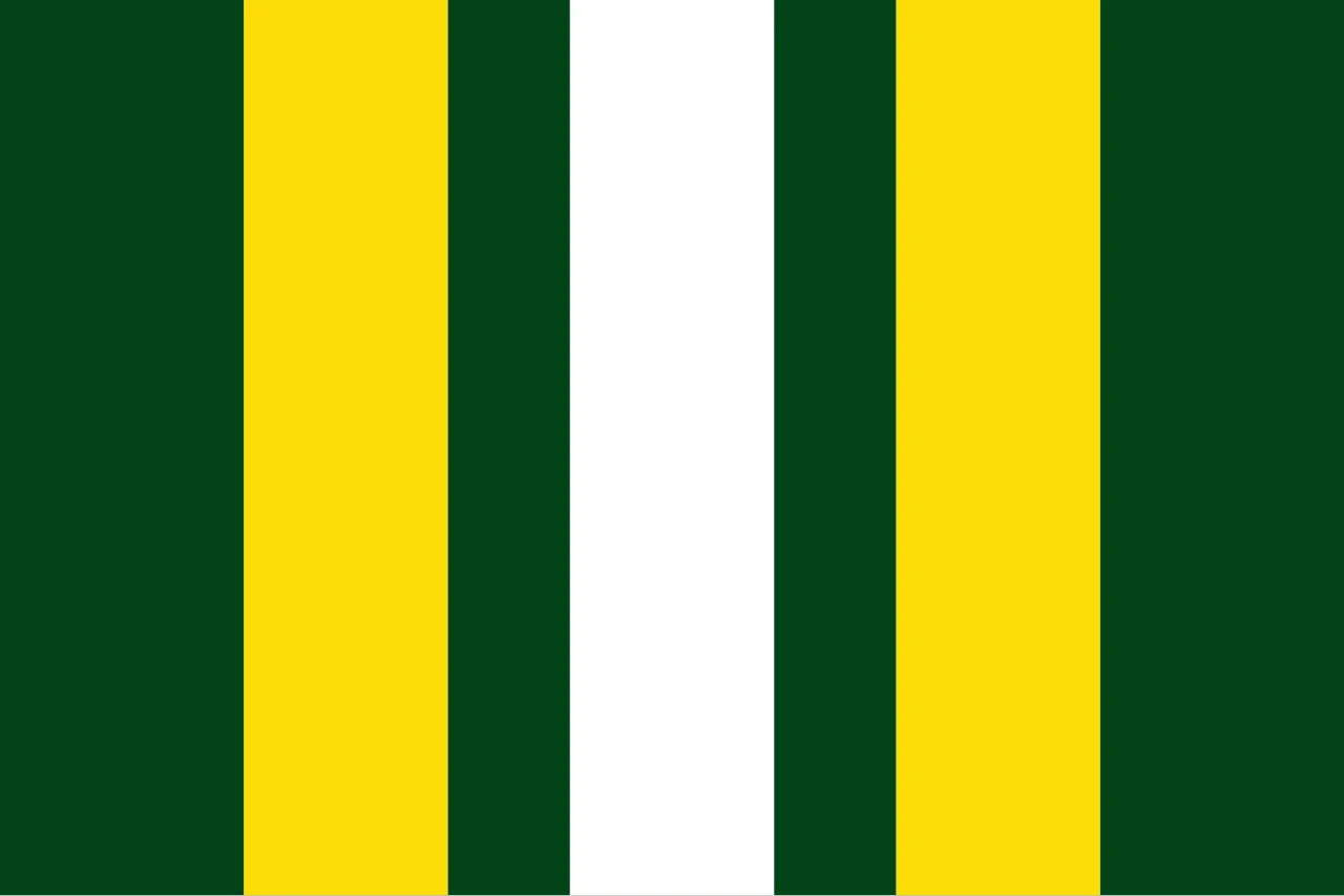 Flag of Les Masies de Roda