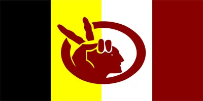 Bandera de Movimiento Indigena Américano