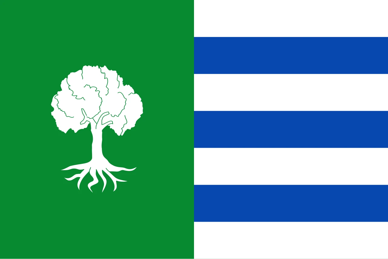 Bandera de Olmedilla de Alarcón