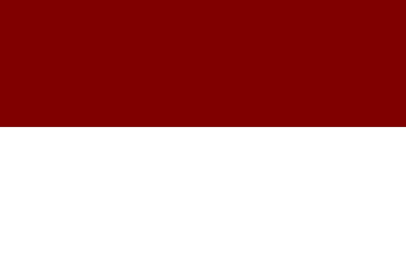 Bandera de Pedro Muñoz
