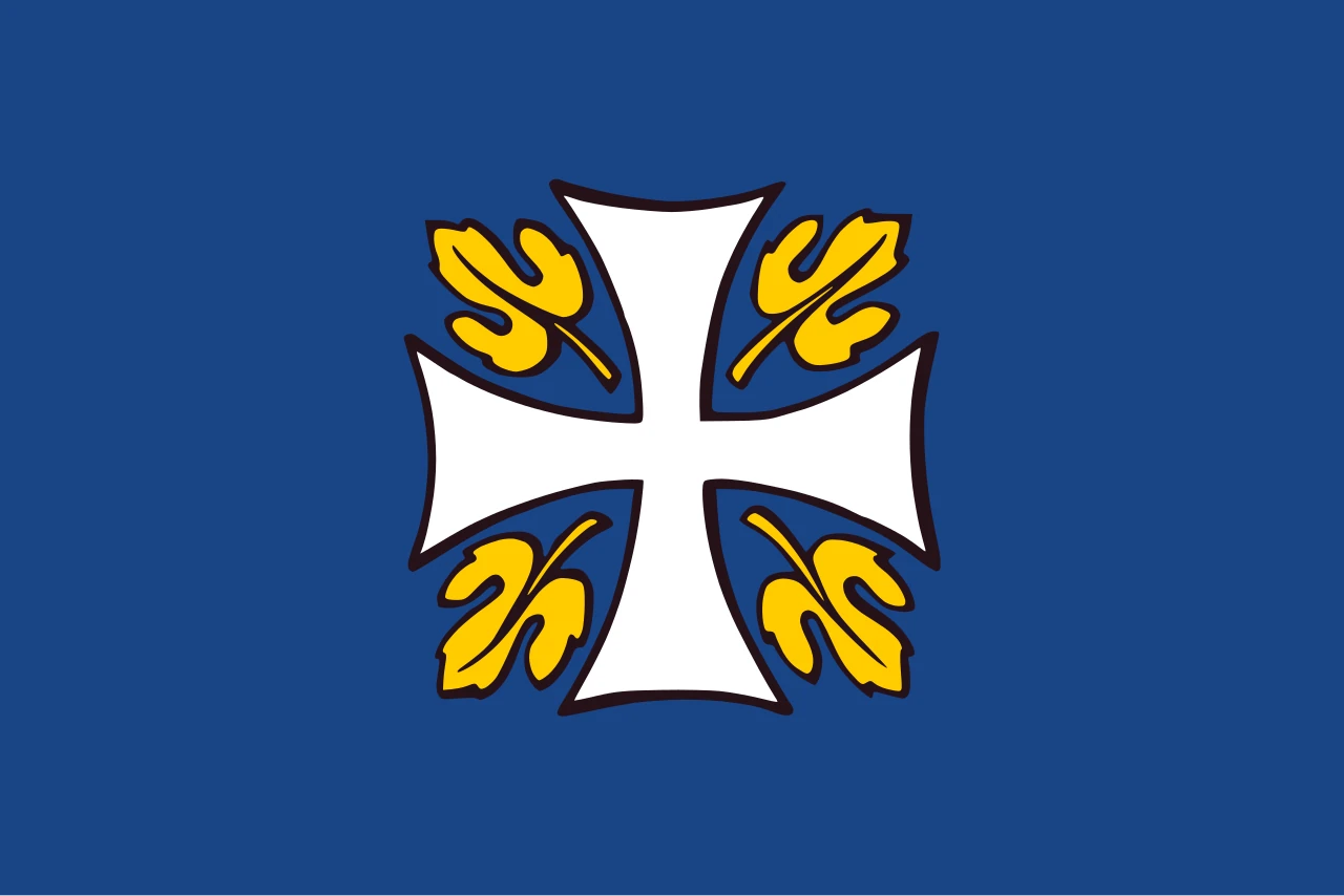 Opción 4