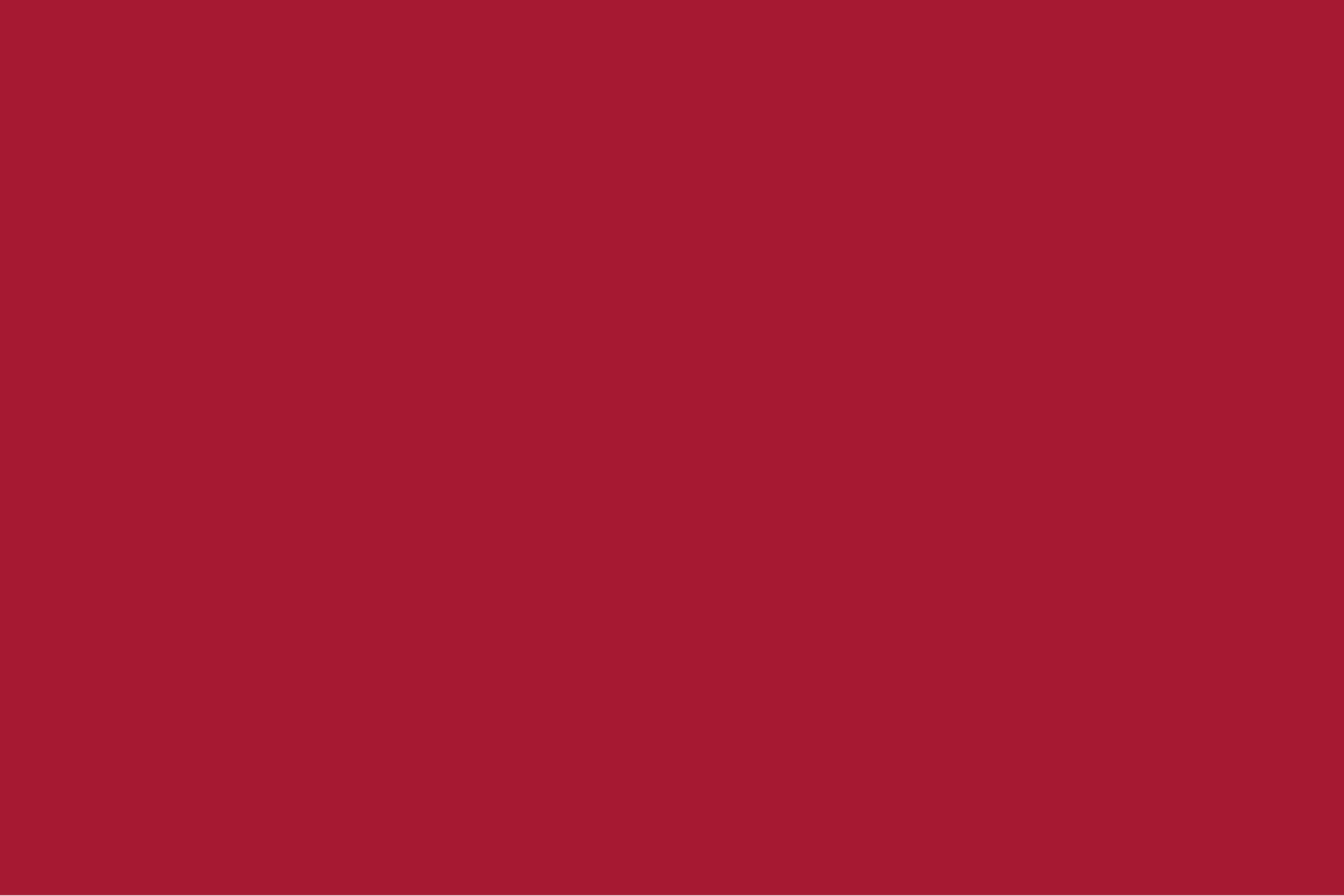Plain red flag