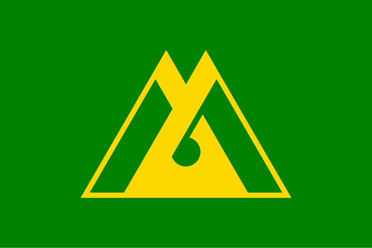 Bandera anterior de Toyama: emblema daurat sobre drap verd