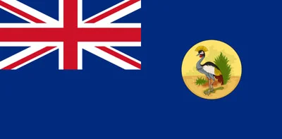 Uganda: una grua coronada Uganda: una grua coronada