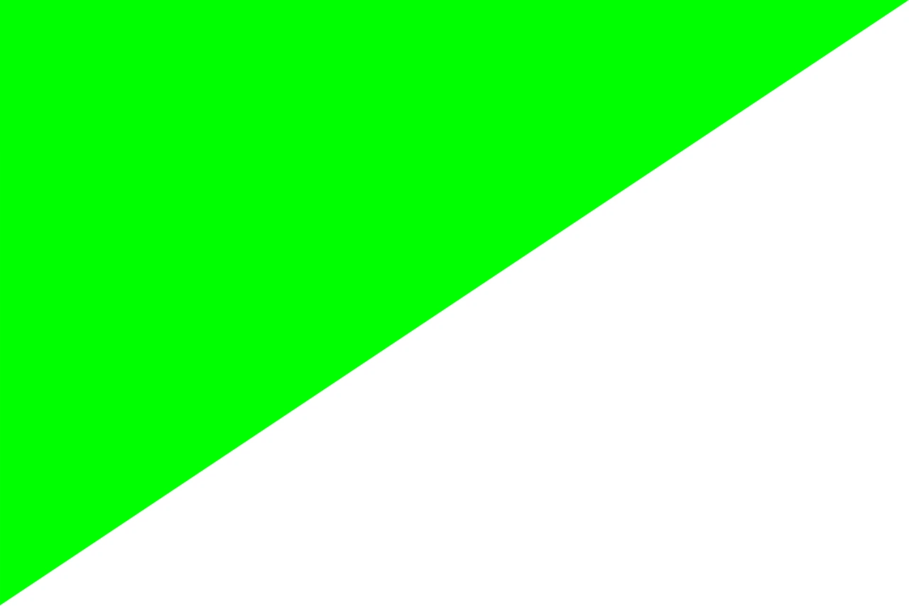Opción 1
